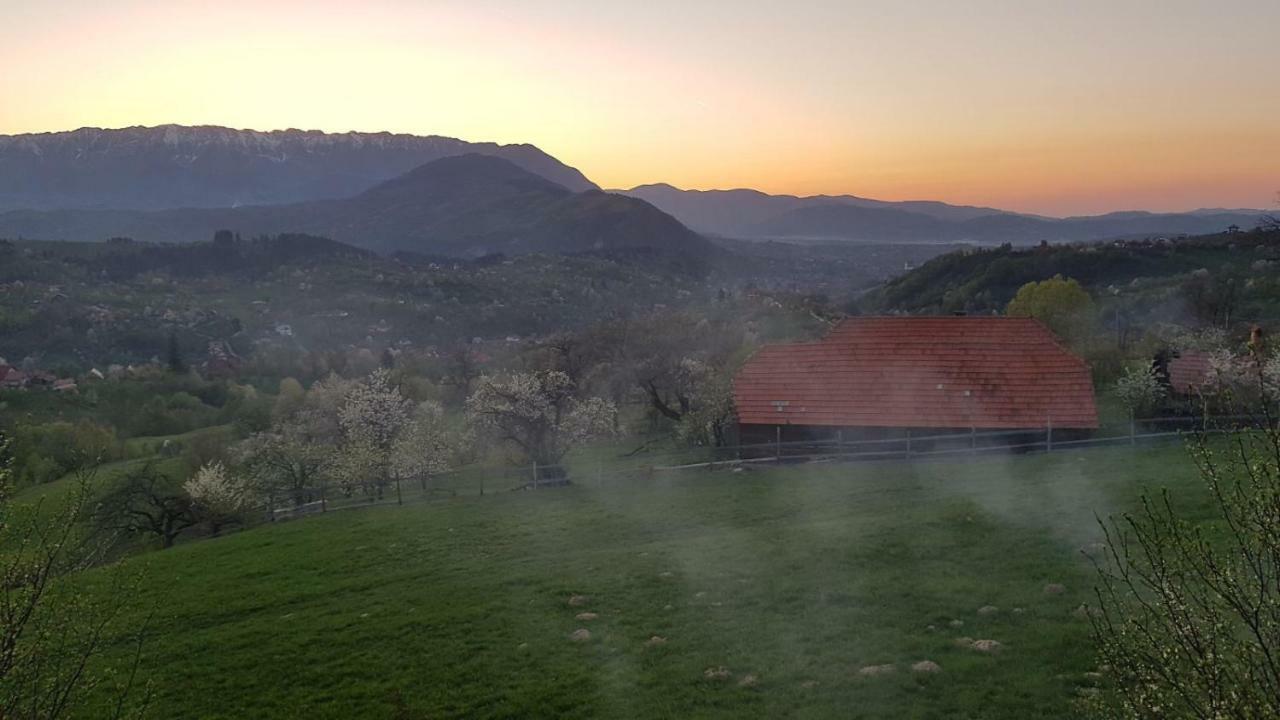 Casa De La Bran Villa Bran  Bagian luar foto